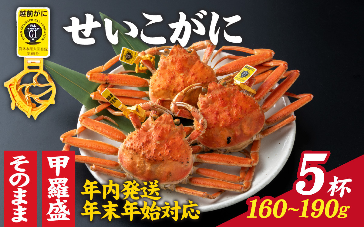 
【先行予約】選べる！美味しさ直送【成前特選】せいこがに（160g～190ｇ）×5杯【年内発送・年末年始対応】【E-028010】
