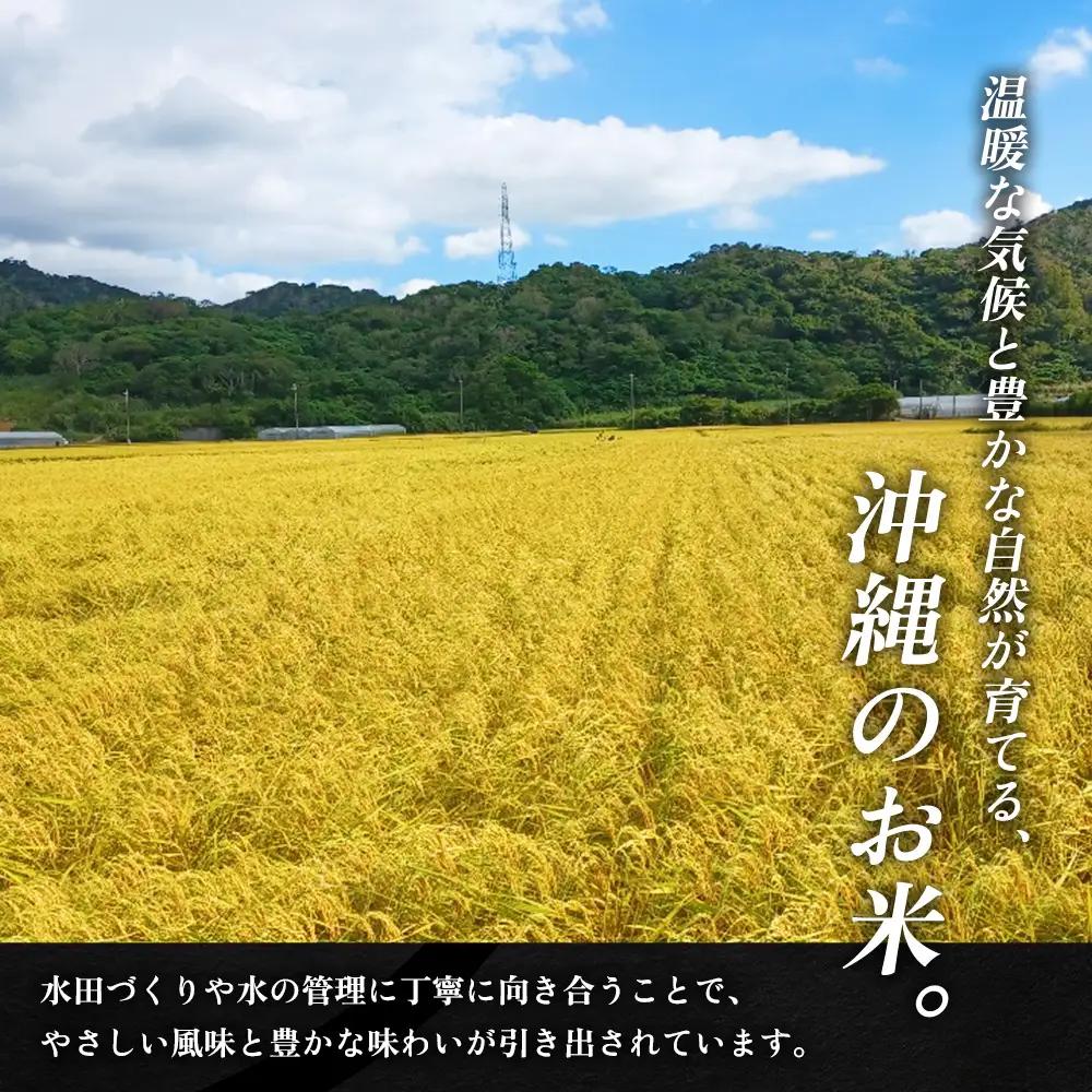 米 沖縄 令和8年産 羽地米(ひとめぼれ) 5kg 名護