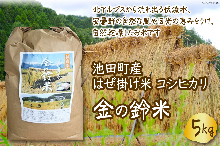 米 コシヒカリ 金の鈴米 5kg [池田町観光協会 長野県 池田町 48110431] お米 こしひかり 美味しい 池田町産 はぜ掛け米 はぜかけ米