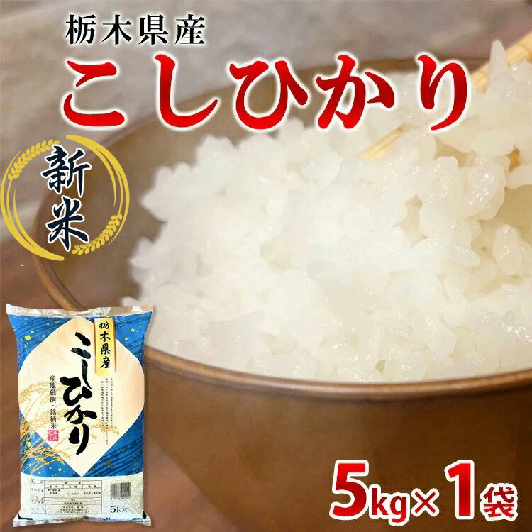 【ふるさと納税】【令和7年産】栃木県産こしひかり（精米・5kg×1袋）　※離島への配送不可