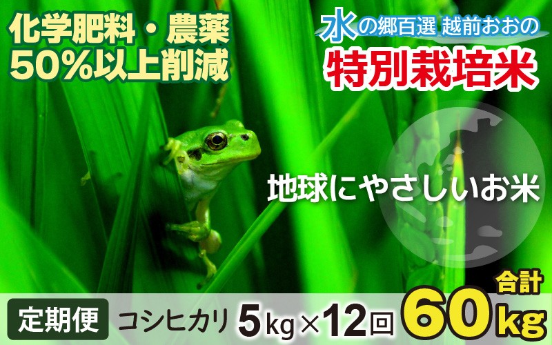 
                  【令和7年産】【12ヶ月定期便】こしひかり 5kg × 12回 計60kg【白米】減農薬・減化学肥料 「特別栽培米」－地球にやさしいお米－
                