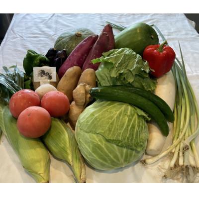 ふるさと納税 由良町 季節の新鮮野菜・果物セット(10種以上) |  | 01