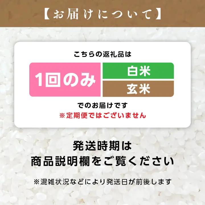 【令和8年先行予約】白米 こしひかり 玄米 10kg 精米 ブランド米