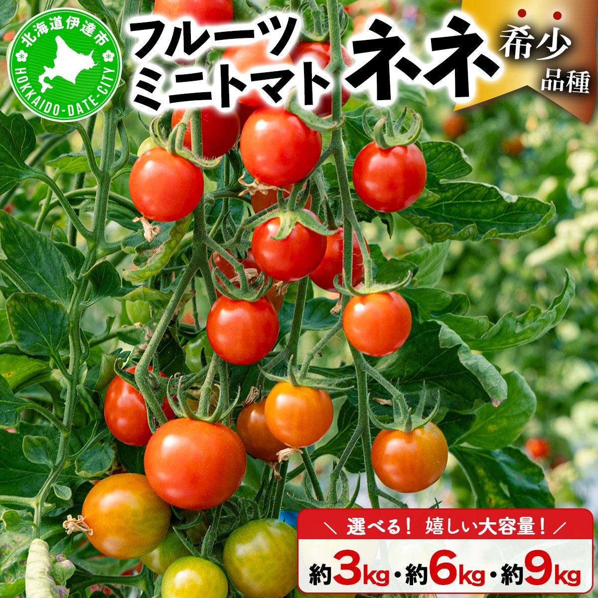 【ふるさと納税】【2026年先行予約】＜選べる容量＞北海道産 ミニトマト ネネ 約3~9kg フルーツトマト プチトマト 甘い 濃厚 彩り 鮮やか 希少 お中元 お歳暮 暑中見舞い 帰省土産 ご自宅用 産地直送 大滝農園 送料無料 北海道