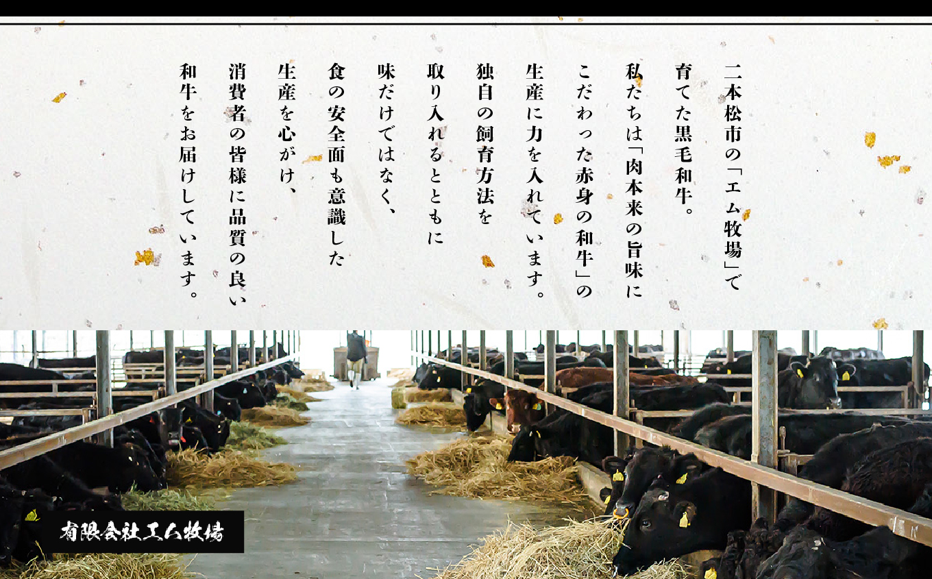 黒毛和牛 うすぎり 1kg （ 500g × 2パック ） 福島県二本松市産 薄切り 黒毛 和牛 肉 牛 牛肉 牛丼 国産牛 赤身 脂身 旨味 薄切り肉 切り落とし 小分け エム牧場 人気 おすすめ 