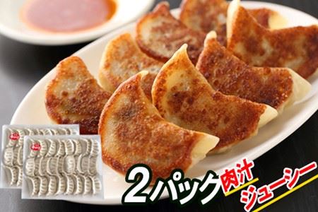 [12月21日決済分まで年内配送]餃子25個×2P A-30048