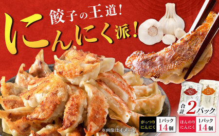 【王道！にんにく派×1パック】餃子2種セット！【餃子屋ヒロ】開成町 餃子 点心 惣菜 冷凍[BDAS008-1]