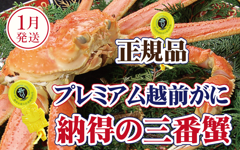 
                  越前がに × 1杯（三番蟹）桐箱入り！納得のプレミアム越前がに【雄 ズワイガニ かに カニ 蟹 姿 生 ボイル 冷蔵 福井県】【1月発送分】希望日指定可 備考欄に希望日をご記入ください [e37-x008_01]
                