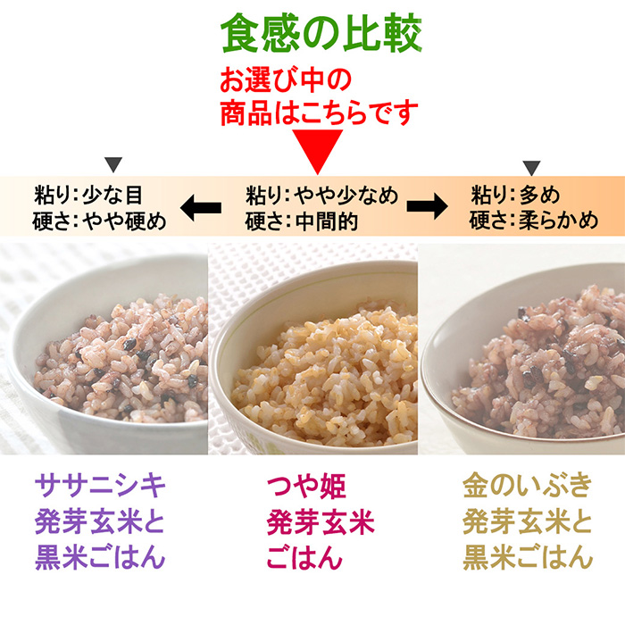 発芽玄米パックご飯 150g×40パック つや姫発芽玄米 発芽玄米 レンジ 有機栽培 パックライス ご飯 米 レンチン 【有機農園ファーミン株式会社】 tm119