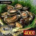 【ふるさと納税】天然活きトコブシ (約400g・ハーフサイズ) 魚介 貝 トコブシ とこぶし 網焼き バター焼き バーベキュー 獲れたて 冷蔵 海の直売所 大分県 佐伯市 魚貝 殻付【AS107】【海べ (株)】