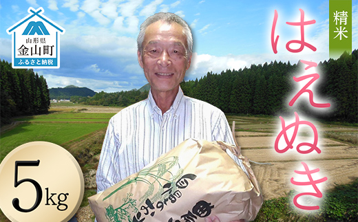 ＜先行予約＞令和８年産【精米】はえぬき5kg （マイスター監修） 米 お米 白米 ご飯 ブランド米 山形 金山町  F4B-0812