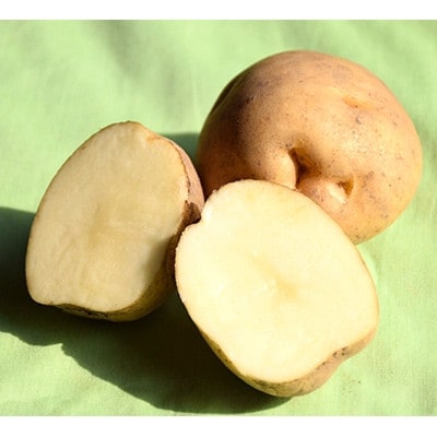 佐藤農場のじゃがいも「男爵」10kg【配送不可地域：離島・沖縄県】