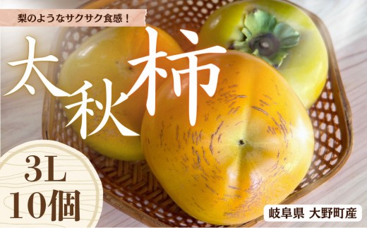 
                  【先行予約】梨のような食感！ Farm m&aの太秋柿 3L×10個 秀品 岐阜県 大野町（2026年10月中旬～発送）農家直送 果物 フルーツ 秋の味覚 柿 かき 太秋 たいしゅう
                