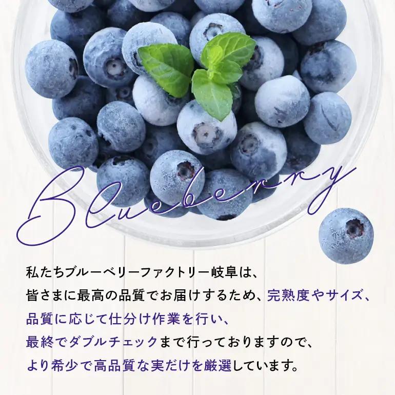 冷凍ブルーベリー＜真空パック保存＞2kgパック(500g×4P) A16-017 ブルーベリーファクトリー