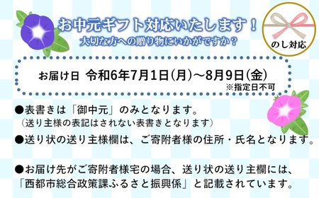 【お中元】生産者応援【宮崎牛】ミヤチク　ロースステーキ2枚　計500g＜1.5-18＞