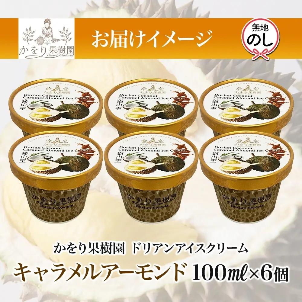 無地熨斗 ドリアン ココナッツ キャラメルアーモンド アイスクリーム 100ml 6個 ココナッツ キャラメル