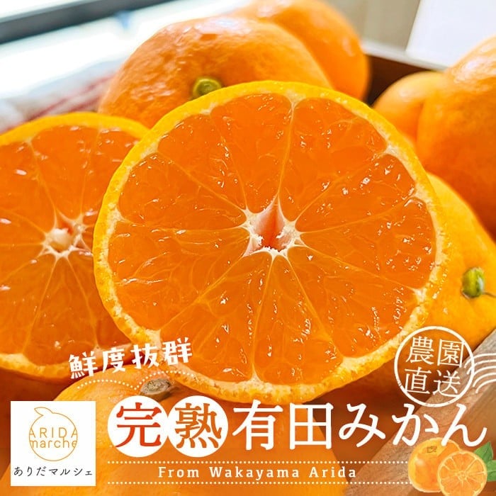 
                  農園直送!完熟有田みかん 約3kg＋200g【サイズ混合】＜2026年12月上旬～12月下旬頃に順次発送予定＞
                