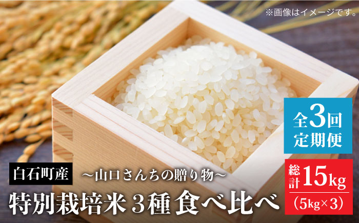 
                  【先行予約 2027年1月～発送】【3回定期便】令和8年産 特別栽培米 3種 食べ比べ 定期便 各回 5kg～山口さんちの贈り物 ～【y'scompany】米  さがびより 夢しずく ひのひかり 5kg 15kg 精米 特A 特A評価  佐賀県産 国産米 コメ こめ お米 白米 ブランド米 精白米 おにぎり 九州 佐賀県 白石町 人気 おすすめ 白石 [IAS014]
                
