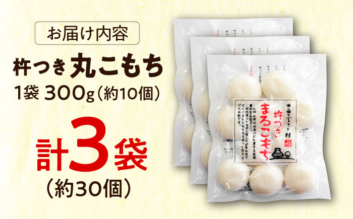 餅 杵つきまるこもち 300g 3袋セット（30個）  [AIBB015]
