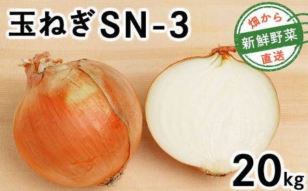 【先行予約】畑から 直送 の 新鮮野菜!玉ねぎ(SN-3) 20kg [a168-003] たまねぎ 玉葱 タマネギ国産 産地直送 まとめ買い 業務用 贈り物 甘い 野菜 シャキシャキ 美味しい 北海道 送料無料