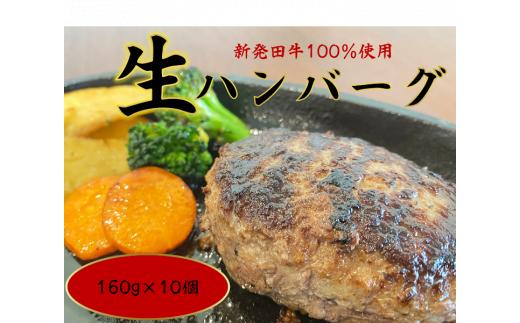 国産 牛 100％使用 真空 生ハンバーグ 10個入 160×10個 計1600g 先崎畜産 新発田牛 【肉 加工品 国産 牛 100% 手捏ね 手ごね 生 ハンバーグ 冷凍 10個  1600g のし 熨斗 】