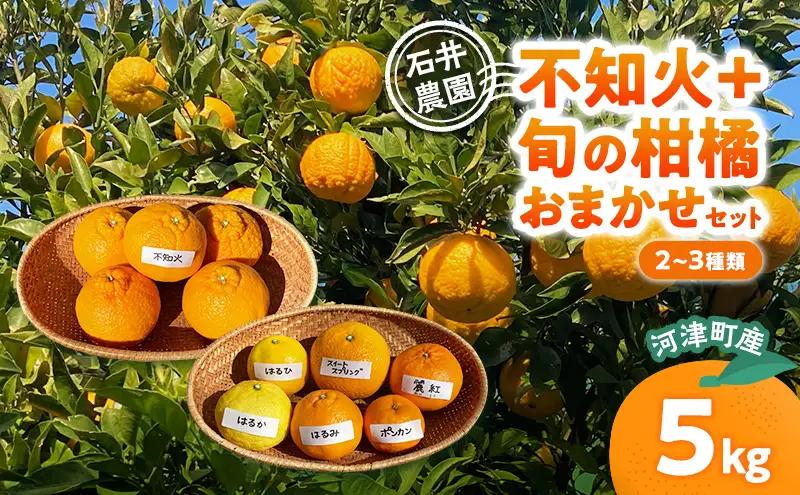 不知火 ＋ 2～3種類 5kg みかん ミカン 不知火