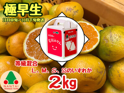 等級混合 極早生 有田 みかん L ～ SS サイズ 2kg 南泰園 和歌山 有田みかん