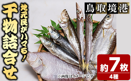 人気干物詰め合わせセット(約7枚) 国産 魚介 干物 干し物 海の幸 エテカレイ アジ カマス イカ タイ 冷凍 おかず おつまみ お土産 【sm-DG004-A】【木村鮮魚店】