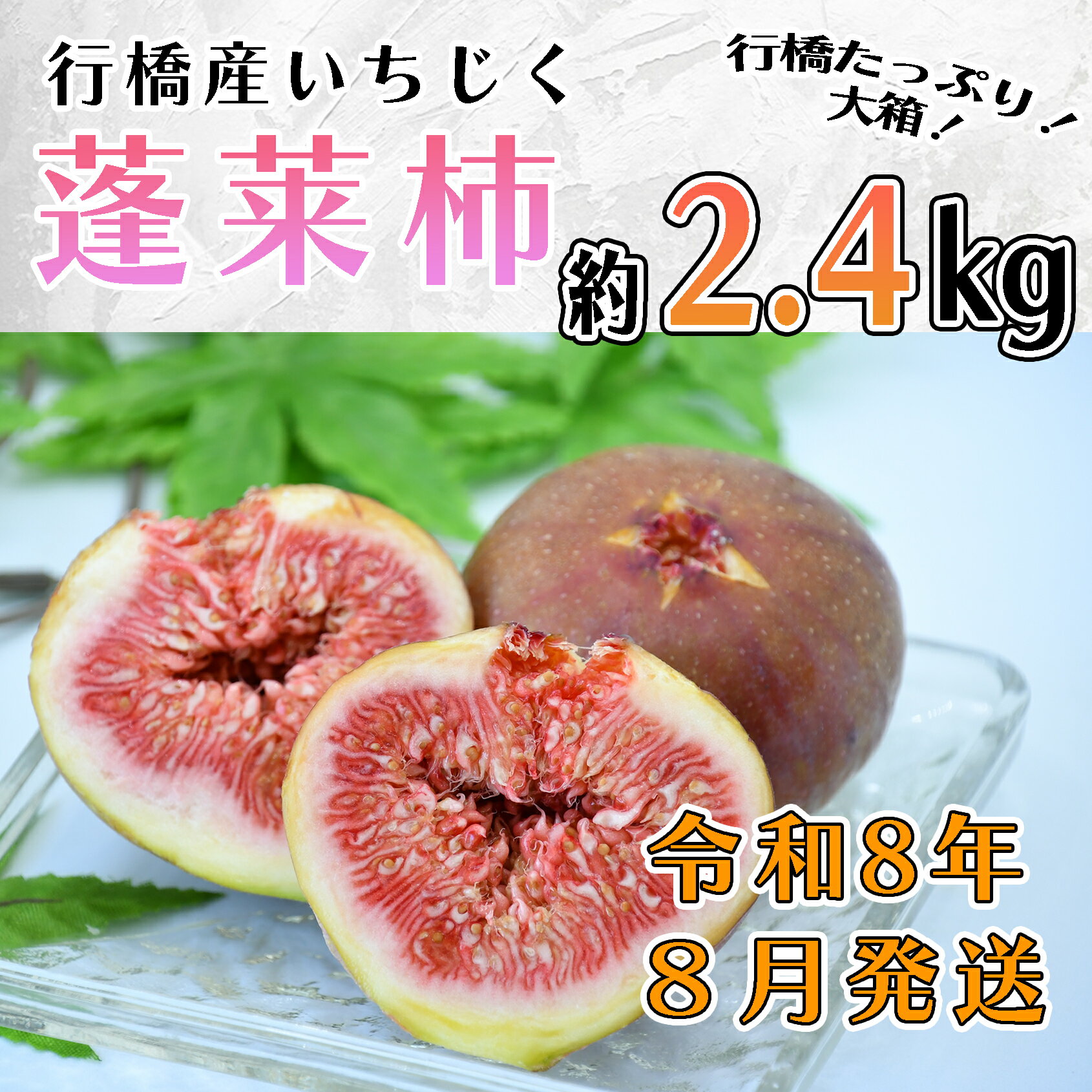 【ふるさと納税】【予約・令和8年夏発送】行橋産いちじく（蓬莱柿）約2.4kg （箱大 約 1.2kg ×2箱）_AO-024