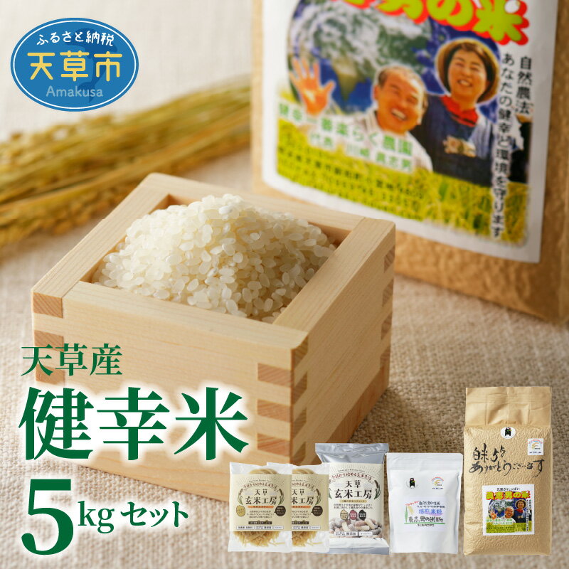 【ふるさと納税】令和7年産 健幸米セット 精米 5kg コシヒカリ グルテンフリー 玄米麺 焙煎玄米めん 焙煎米粉 赤米 黒米 玄米 スティック 特別栽培米 単一原料米 熊本県 天草 送料無料