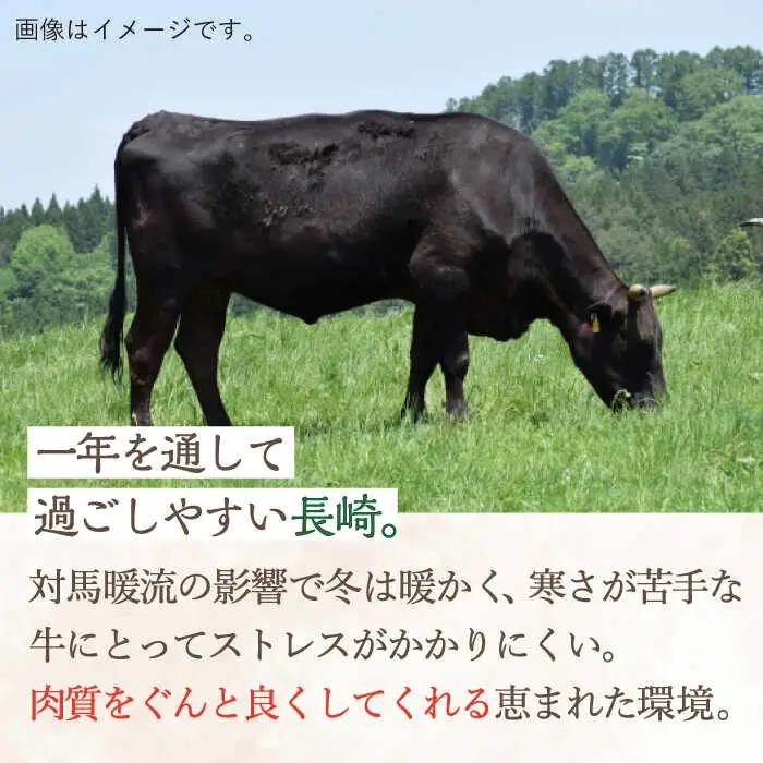 牛肉 長崎和牛 特選 切り落とし1.2kg [OAA017] 牛肉切り落とし