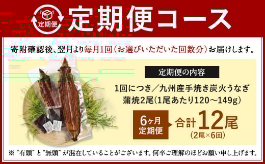【6ヶ月定期便】九州産 手焼き炭火 うなぎ蒲焼 2尾（1尾あたり120～149g）