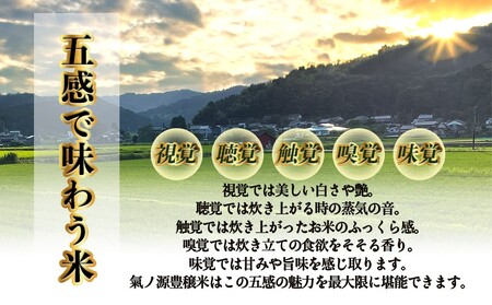 ＜先行予約＞お米自慢コンクール優秀賞！  令和6年産 富山県産コシヒカリ 白米 5kg ＜10月下旬以降順次発送＞ 富山県 氷見市 こしひかり R6