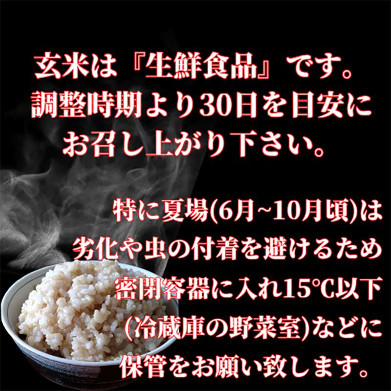 CID27_【玄米】さがびより６ｋｇ（３ｋｇ×２袋）【五つ星お米マイスター厳選！】