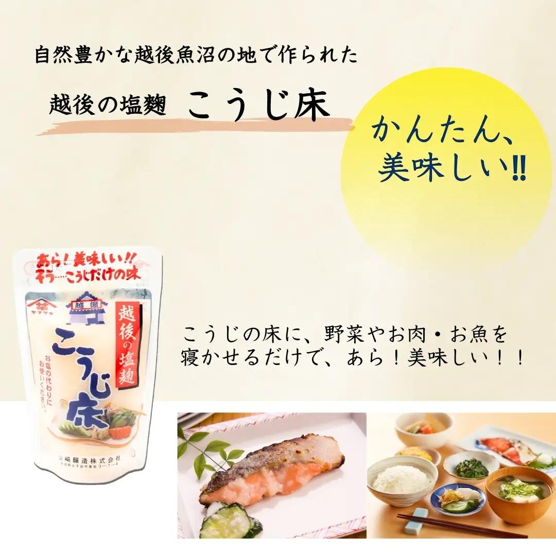塩こうじ8個セット 山崎醸造 | こうじ