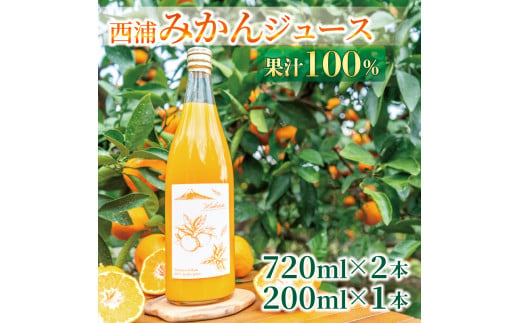 
【価格改定予定】果汁 100％ みかん ジュース 720ml × 2本 200ml × 1本 西浦 オレンジ 飲み物 静岡 沼津
