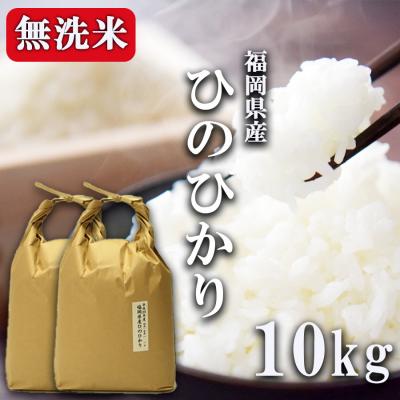 ふるさと納税 小郡市 R7年産 無洗米 10kg 福岡県産 ひのひかり 米[No5354-0267]