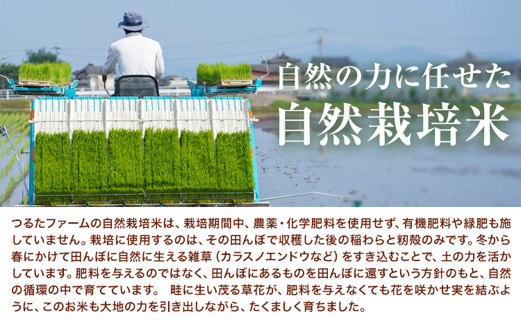 令和7年産 つるたファームの米 自然にこまる 自然栽培米 にこまる 5kg 株式会社七城の恵み《30日以内に出荷予定(土日祝除く)》熊本県 菊池市 米 にこまる つるたファーム---126-2521-