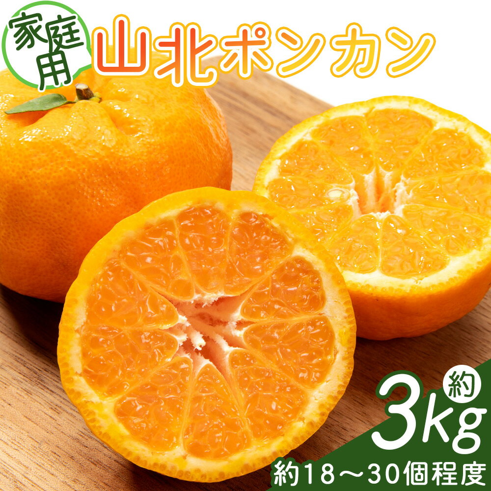 【ふるさと納税】山北ポンカン 家庭用 3kg(約18～30個程度) - 国産 柑橘 柑橘類 果実 果物 フルーツ 青果 ぽんかん ご家庭用 訳あり 自宅用 高知県 香南市 yk-0055