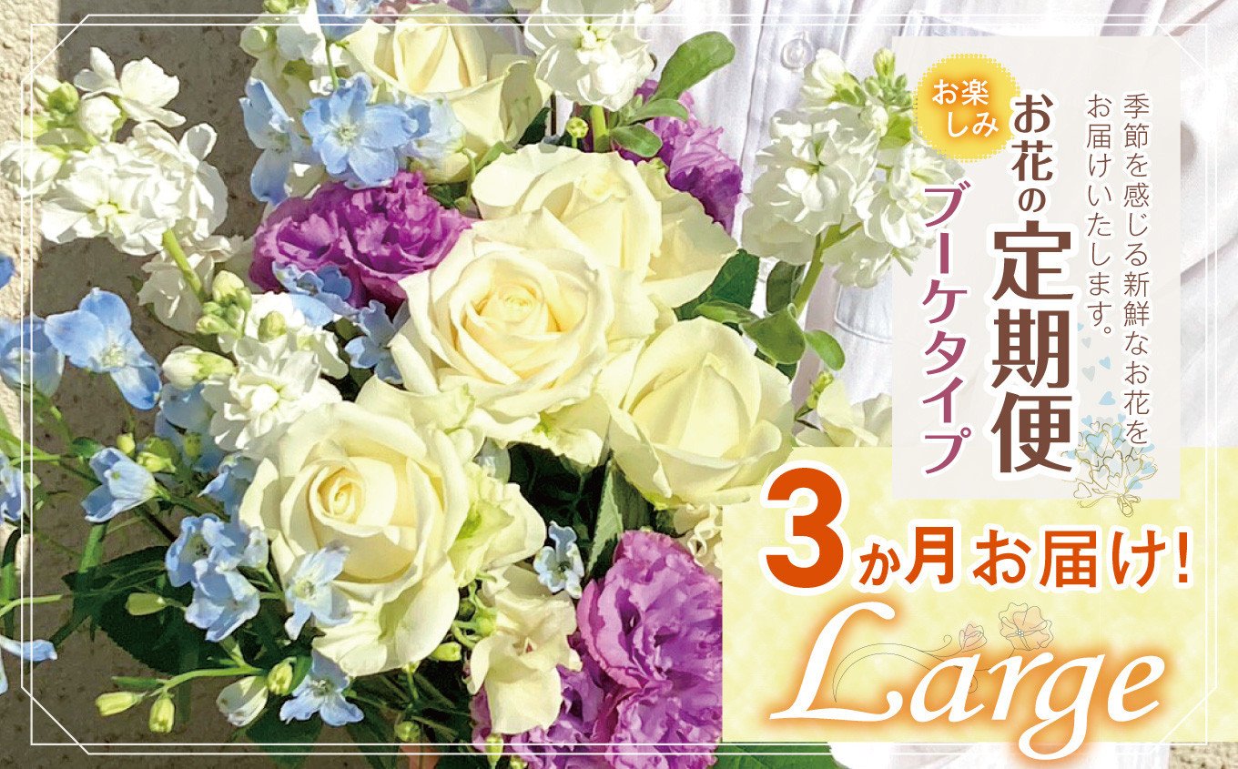 
                  お楽しみ！3か月 お届け お花 の 定期便 「Large」 | ブーケ タイプ 高さ35-40cm 本数12-17本 flower フラワー ふらわー 花 はな リトルシード インテリア 植物 定期 お任せ お見舞い ギフト お祝い 誕生日 親孝行 プレゼント贈り物 新鮮 調布 東京都
                