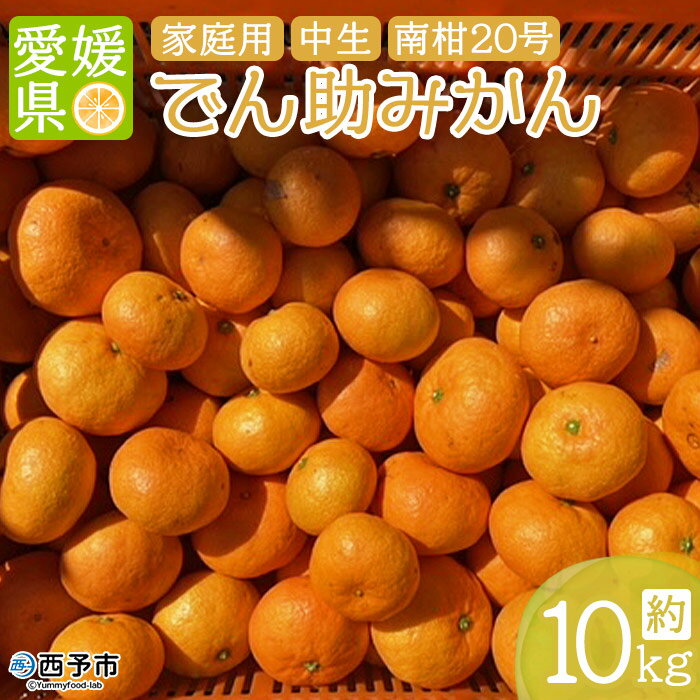 【ふるさと納税】【緊急豊作対応】＜でん助農園の温州みかん 南柑20号 約10kg（家庭用）＞ 果物 フルーツ ミカン 蜜柑 柑橘類 中生 自宅用 国産 特産品 食べて応援 産地直送 西宇和産 愛媛県 西予市【常温】『2025年12月中旬〜2026年1月下旬迄に順次出荷』