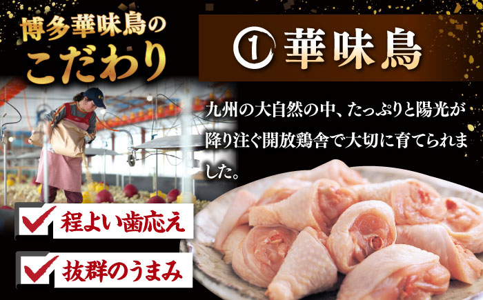 3回定期便 博多華味鳥 水炊き セット 3~4人前 （ちゃんぽん麺付）