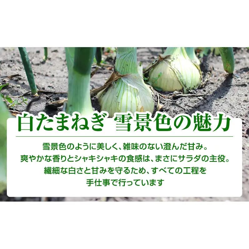 【2026年夏発送】富良野産 白玉ねぎ 雪景色 約5kg （約15～25玉）新玉ねぎ 野菜 甘い 新鮮 直送 玉ねぎ 玉葱 サラダ 北海道 富良野 幕田農園