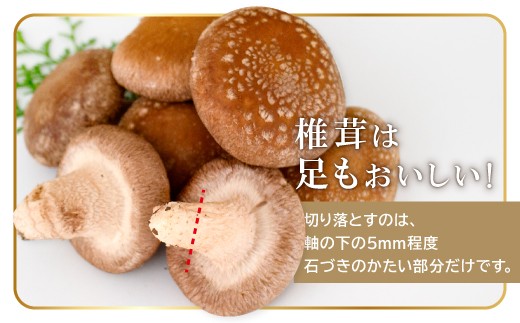 椎茸は足もおいしい！