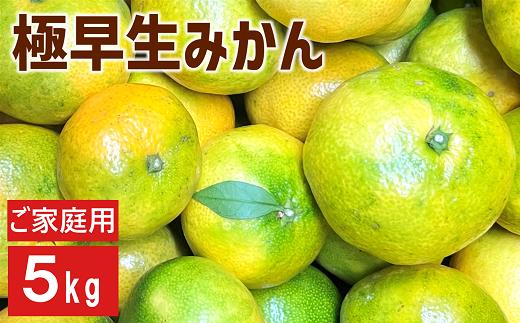 極早生みかん 5kg ご家庭用 日南1号 農園直送 先行予約 【9月中旬以降順次発送】 愛媛 数量限定 愛媛県産 人気 柑橘 伊予市 | B226