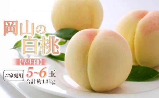 桃 2026年 ご家庭用 岡山の 白桃 早生種 5～6玉 合計約1.3kg 【家庭用 白桃 桃 もも 岡山県産 国産 フルーツ 果物 新鮮 おすすめ 人気 岡山県 岡山市 国産 】