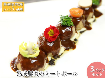 ミートボール 熟成豚肉 長谷川自然牧場 ミートボール【3パック】【冷凍】