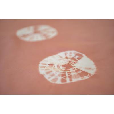 ふるさと納税 千曲市 千曲染 のれん(あんず)オーガニック染め |  | 01