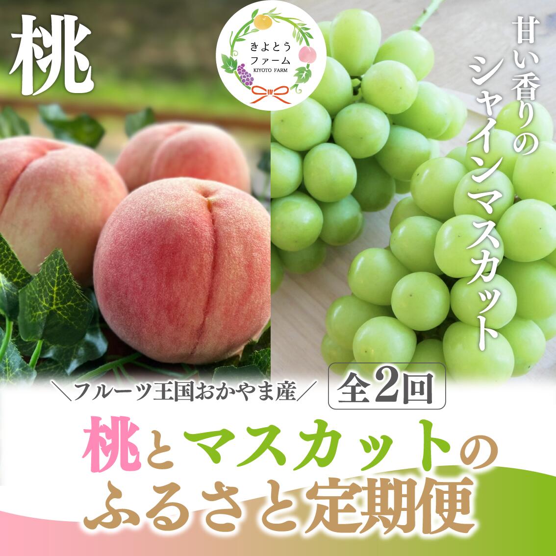【ふるさと納税】 桃 5～7玉 シャインマスカット 2kg 定期便 2回 7月 9月 岡山県産 【2026年発送 先行予約】 桃 白桃 もも シャインマスカット 葡萄 ぶどう くだもの 果物 フルーツ 定期便 ご家庭用 人気 ブドウ 期間限定 送料無料 ギフト 岡山