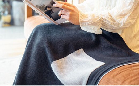 ストール CLEMATIS リバーシブル和紙ストール ( たたきポケット・ブラック ) レディース | 大判 ストール リバーシブル 和紙 おしゃれ シンプル マフラー 春夏 春 夏 新潟県 五泉市 